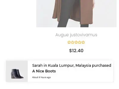 Recent Sales Popup | Cloudtree Plugin